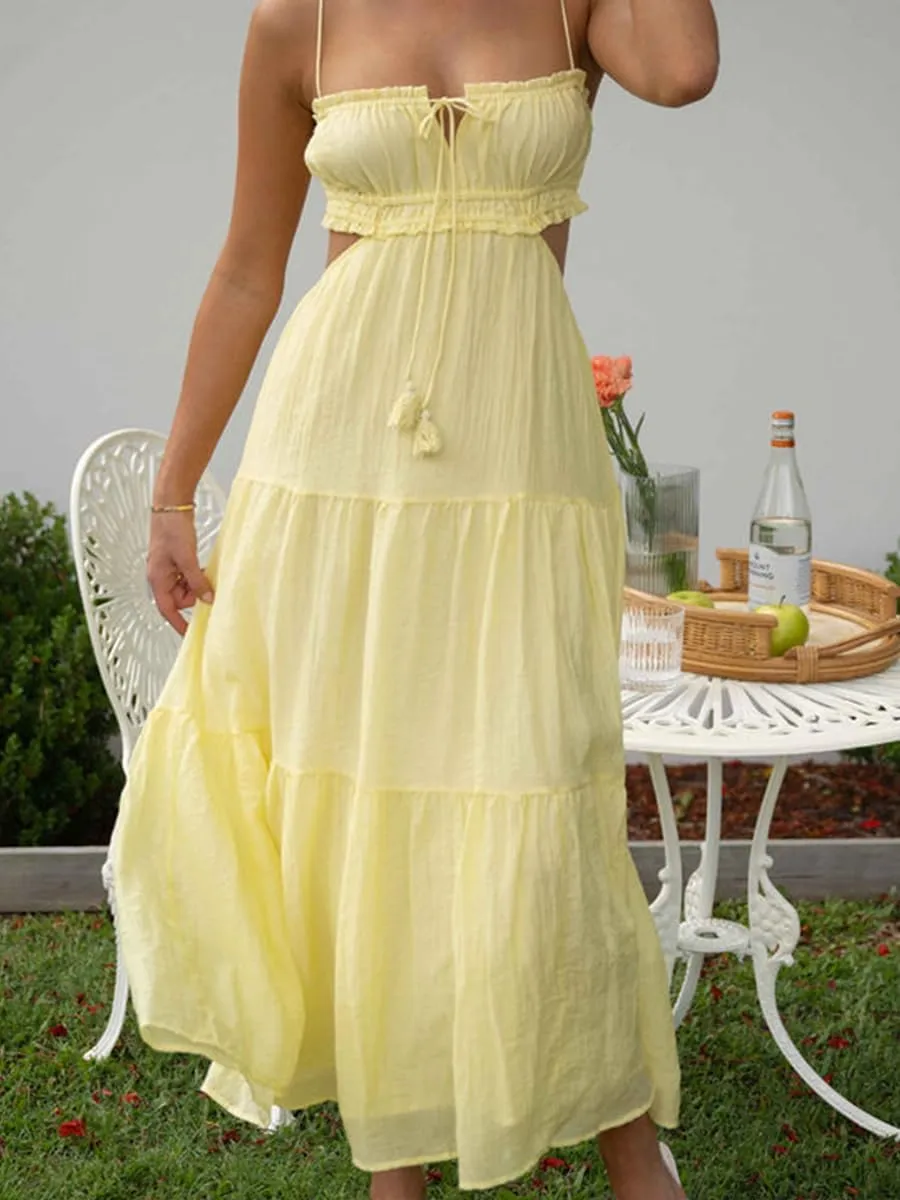 Women Spaghetti Strap Halter Neck Low Cut Dress Backless Long Maxi Flowy Pleated Dress Beach Sundress
